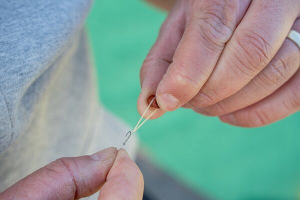 a39274501ccf89631b1a3c2bcbf817ad