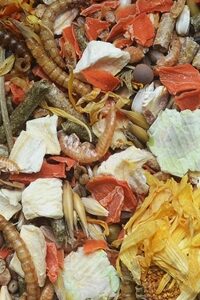 5d6a8cf85fba8d00af91aecf2e1d04bc