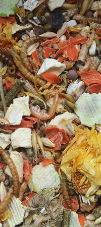 5d6a8cf85fba8d00af91aecf2e1d04bc