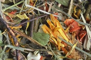 4a8e8ca400e8c9fb72d5ce0d20628f2a