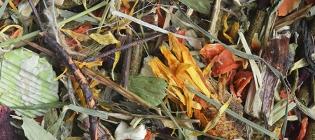 4a8e8ca400e8c9fb72d5ce0d20628f2a