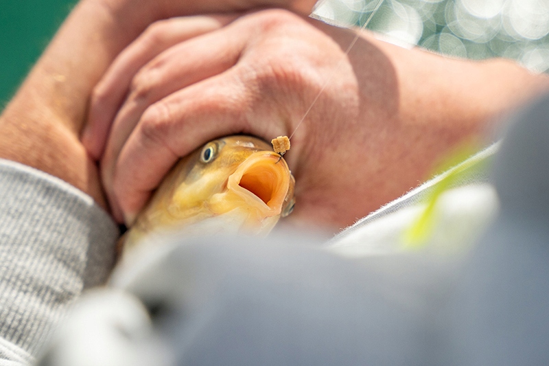 759f4c124fdd36ef5435a672881e99de