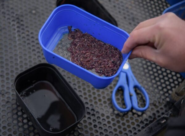 f90e640646c2d37d66072e2f60ff1165