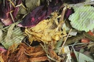 b4760a3e6b1ced0680f098f5fa5f4bd5