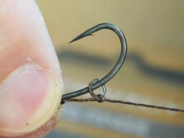 faa57d31a3016562ecbc04ecc8fe342d