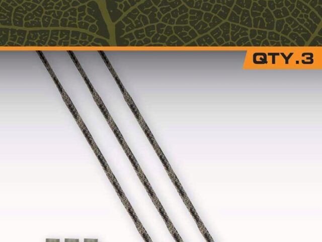 c093532f574022820e307e557fcf9dbc