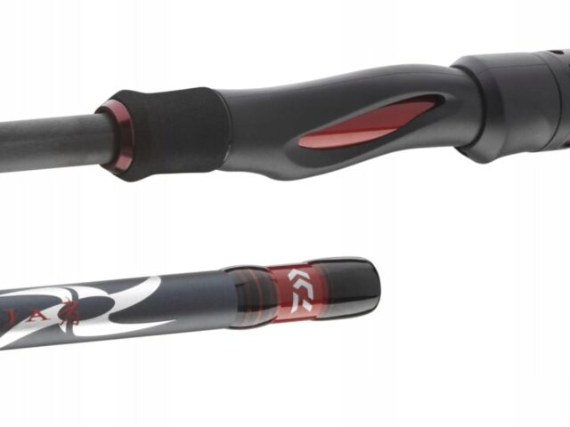 6c13aa59a80ed340c319d91294a8e8fd