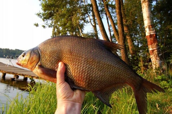 7e5ffda2007e1fc8ea89415a0f9613a3