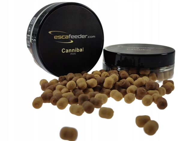 4291287db69d57de8785a784142c3e61