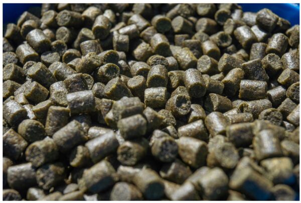 1dca12f263cd2a663b40ca9dec9462bd