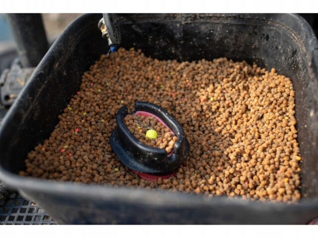 099db213e3c22b4cc37dc593001600e5