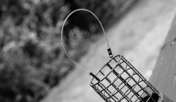 d47353931dc2e439063af26ea375226b