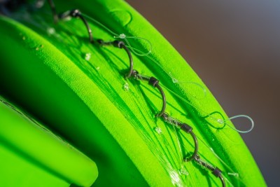 9747119000caa4746ac19511e357347d