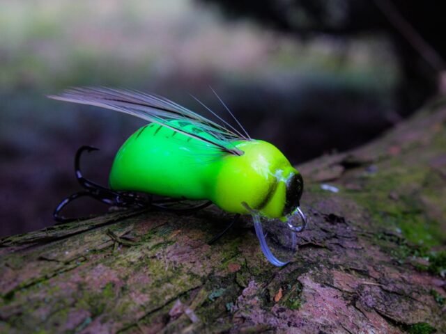 794a679ee97cfdc537884ab93628b63b