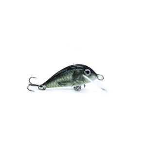 401956d6ce1175b3bc47337aa0c999a1