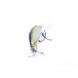 12017197289d283bd798fc98a00d8513