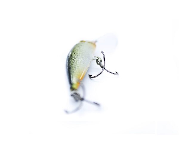 12017197289d283bd798fc98a00d8513