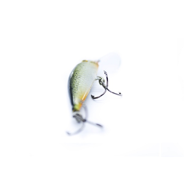 12017197289d283bd798fc98a00d8513