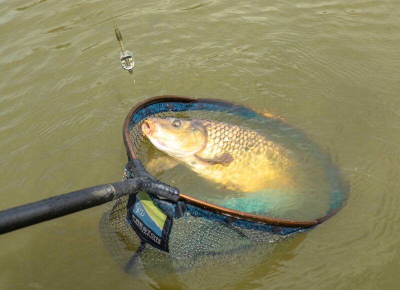 8e858edec7c2cde74c8385e04d5b0354