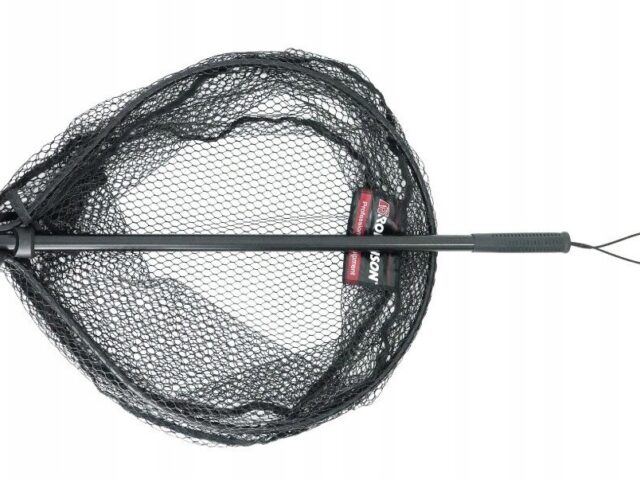 a4b0346350357cdba80e2d8559c2707c