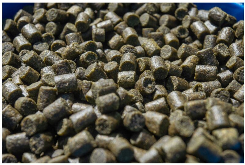 1dca12f263cd2a663b40ca9dec9462bd