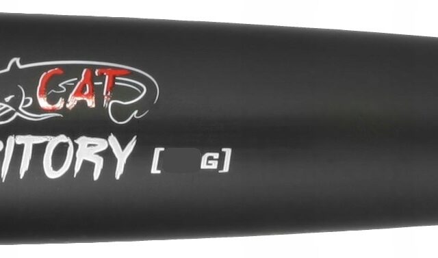 7279cc8c8a7bd91a0cbf7cb9a7264807