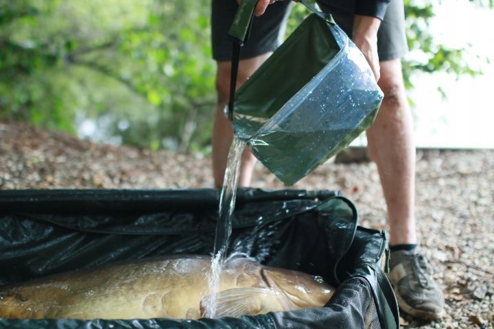 f67ad94e7842428fa8111358ae83c0cf