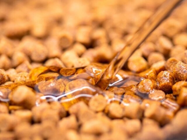 3eb41a626f7654cfda327c5549ee242e