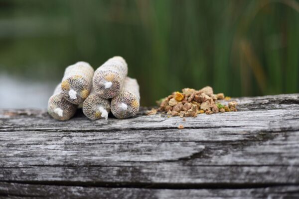 622e4d77ff6e304e4c8c32f0480aaad8