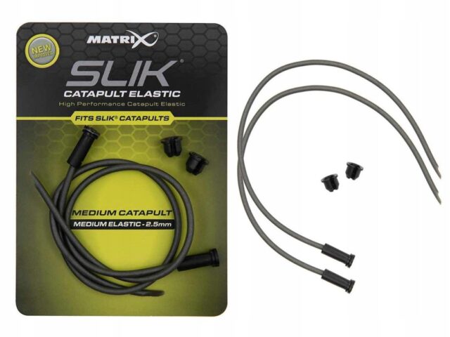 c2a862827daa44362246a4847b81c29c