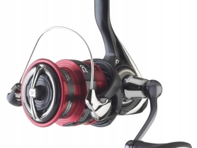 ee3d567a7ed56c38d7382c91afe03766