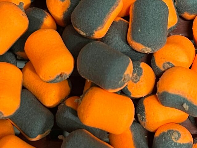 afc1e65ff8b4e3f434434c7ede44ec08