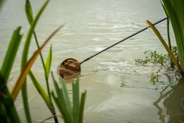 70292a60578a83beae71ec16853a7709