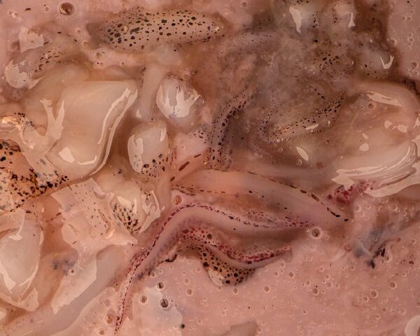 0f3561c3c873700373daaf817ab7a629