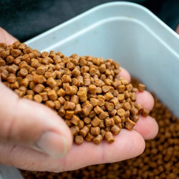 65f9b0e21378a139c541296948eee966