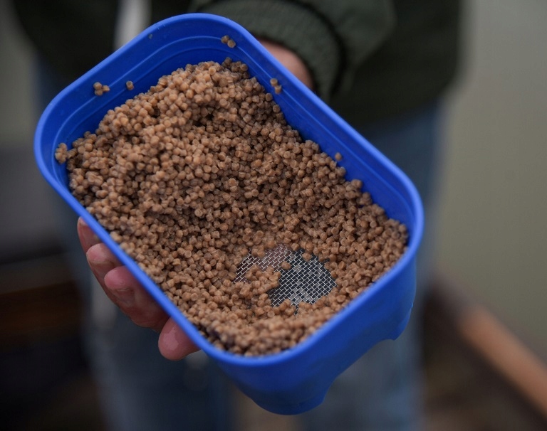 395c9c453a6fca954702010ab0803b0f