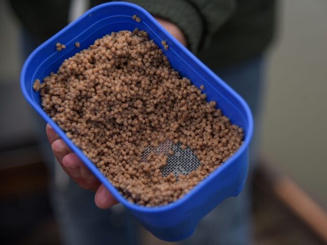 6521cd8b3c624b3ef578014827f78db3