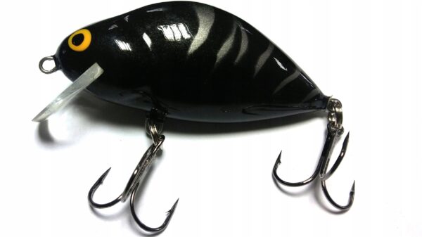 179b078707c109856e9c9aa998126253