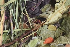 46269b0db1c3afccb4c3dd3b066d2fc6