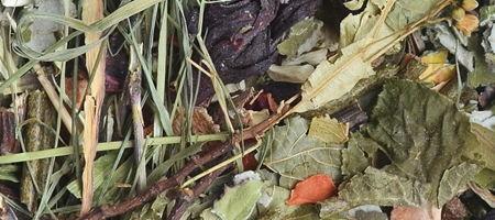 46269b0db1c3afccb4c3dd3b066d2fc6