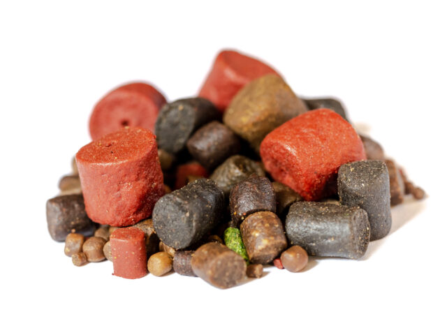 fa8732e97e23b63d2911675a2a59ed18