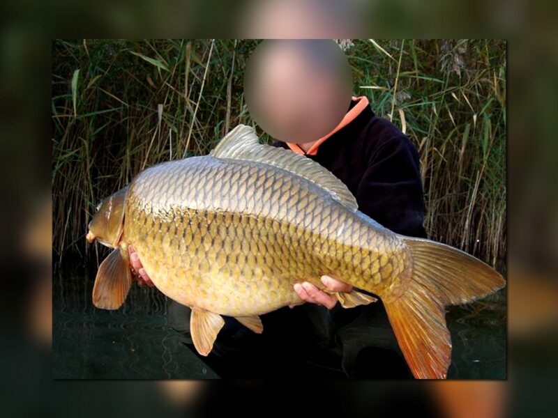 ab9e8afe7b4ea69ae1a91808f5832443