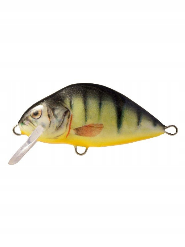 d753ad3c46573f6efb19adf5597dd893