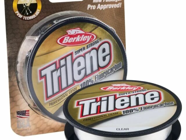 48e3b03d69cdb79bd2dc3f33591009f3