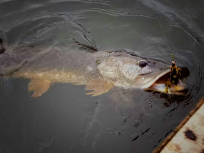 9acd78b7a2cc17c95603d6c024afe89e