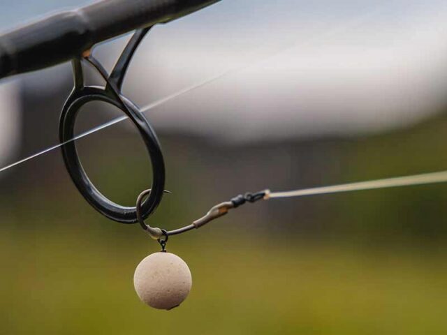 07fed5104501e7a024641f89fa6c1189