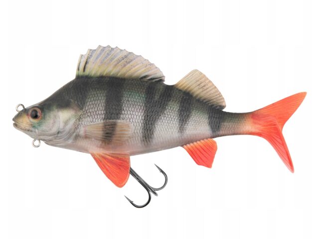 d453494c10a127caf01d5a671d8266c3