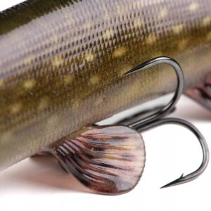 48509a20f92d10740e53896d6793986a