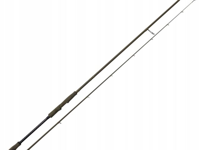 19d820437ba0dd3c9c6c19aed0a8c075