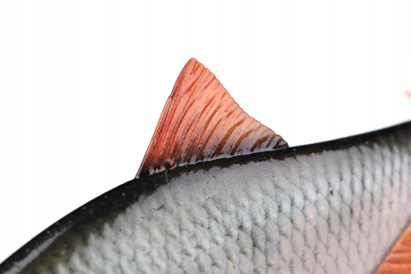 cebf9828438b4381a1bf3b96d24bab1f